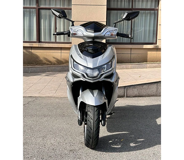 Adult Electric Motorcycle Adult Electric Motorcycle